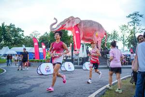 BIB: 
                            <button type="button" onclick="openModal(26551691)" class="btn btn-primary btn-sm float-right btn-popup" data-toggle="modal" data-target=".modal-high-quality">
                        <i class="fas fa-shopping-cart"></i> Add to Cart
                    </button>
                                            <button type="button" onclick="isThisMe(26551691, true)" class="btn btn-success btn-sm float-right btn-popup btn-isme hidden" data-toggle="tooltip" data-placement="bottom" title="นี่คือรูปของคุณใช่ไหม คลิกที่นี่เพื่อเอาเข้าอัลบั้ม">
                        <i class="fas fa-plus"></i> Add to album
                    </button>
                    <button type="button" onclick="isThisMe(26551691, false)" class="btn btn-warning btn-sm float-right btn-popup btn-isnotme hidden">
                        <i class="fas fa-ban"></i> Remove from album
                    </button>